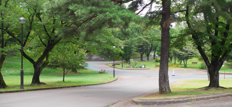 埼玉県営公園様へのLED街路灯の導入事例。LED化で防犯に役立つ明るい照明へ